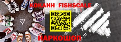 тгк Гай