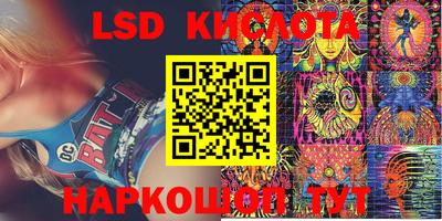 тгк Гай