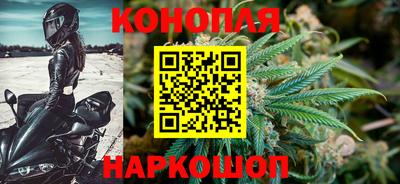 тгк Гай