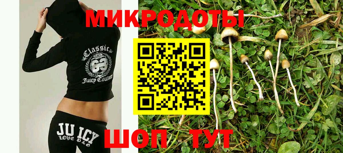 Ростов Великий  Псилоцибиновые грибы мицелий  Вход с VPN 